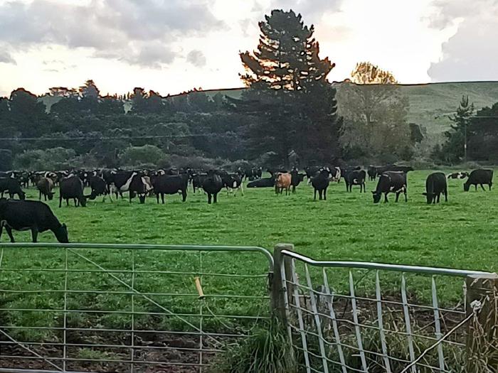 Abbot-General’s-Journey-Kopua-2023-3