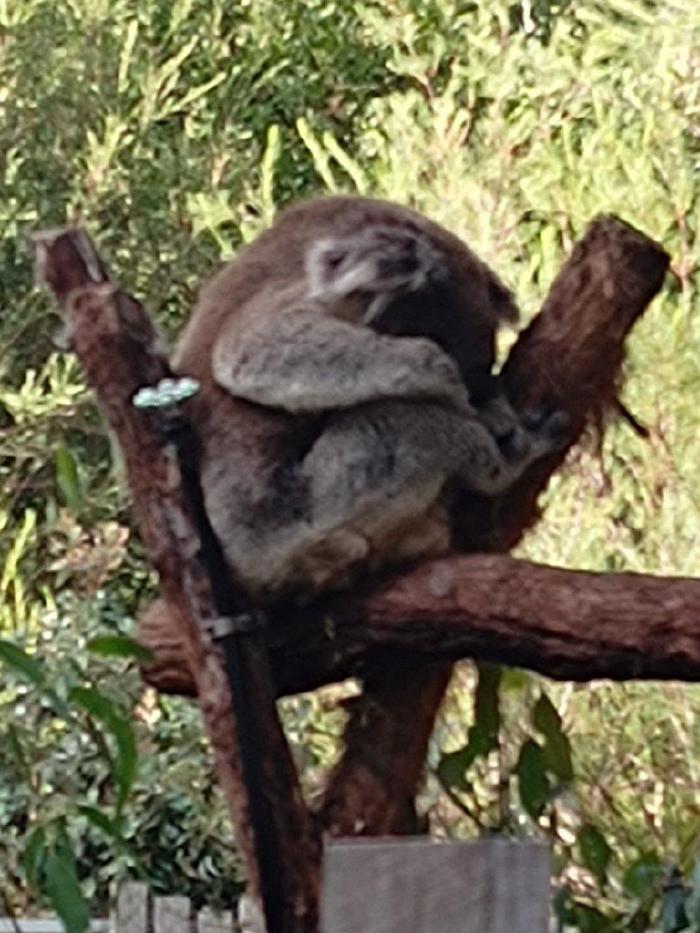 IMG_20230316_093311329