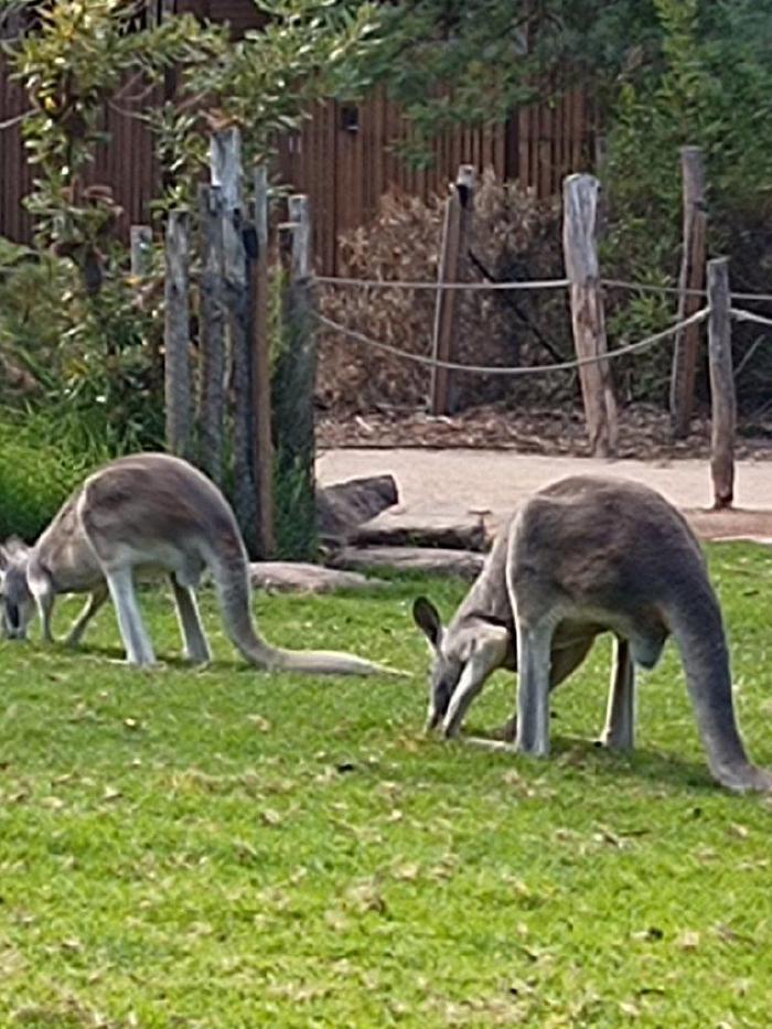 IMG_20230316_094719670