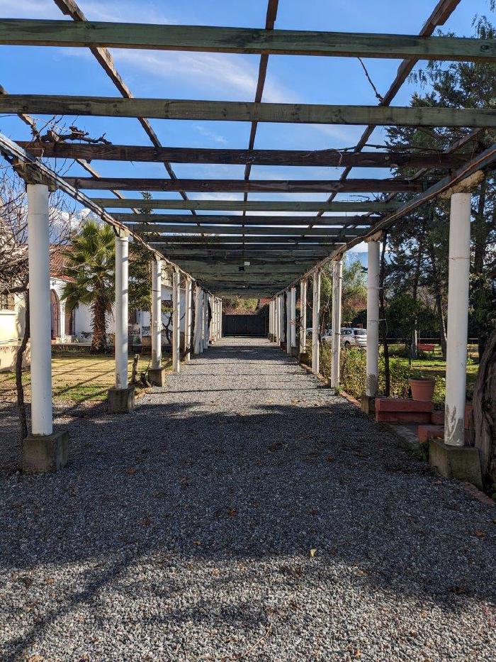 Comision-Central-2024-Chile-14-1