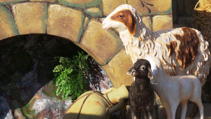 Presepio-San-Pietro-Natale-2016-12