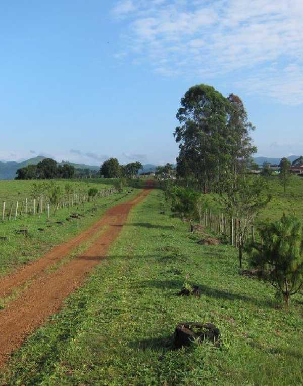 Order of Cistercians of the Strict Observance