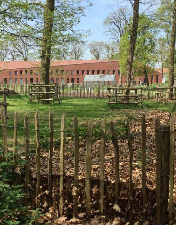 Order of Cistercians of the Strict Observance