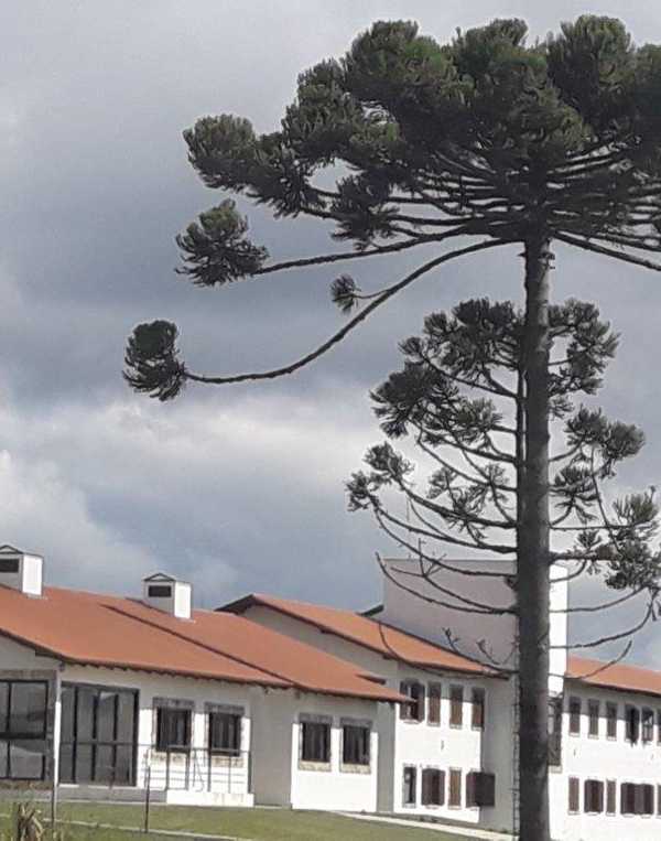 Order of Cistercians of the Strict Observance