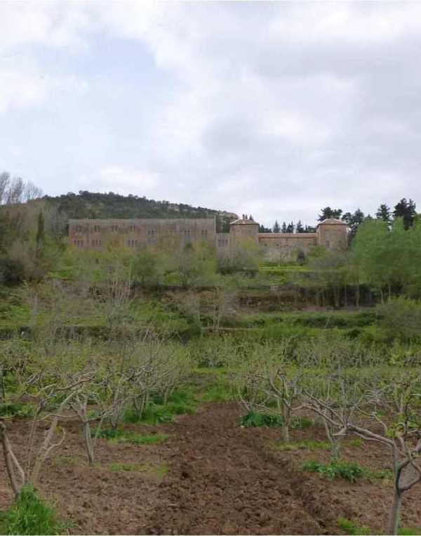 Order of Cistercians of the Strict Observance