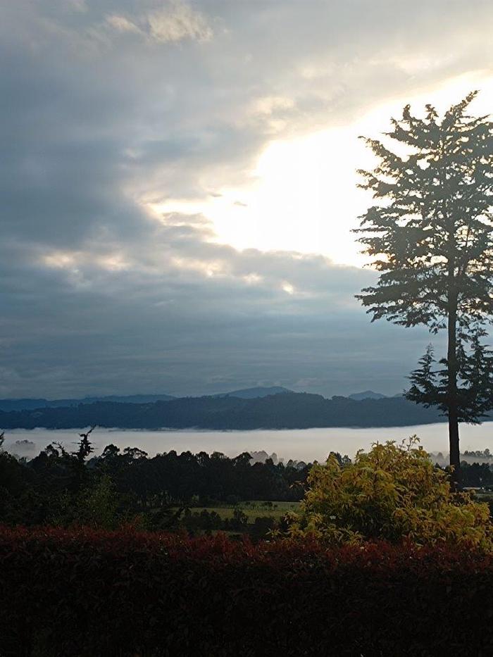 IMG_20231227_062125470