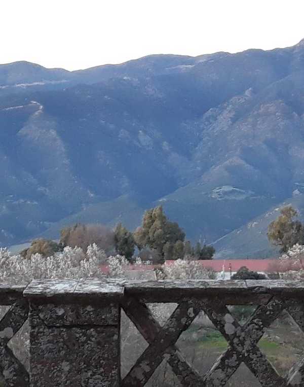 Order of Cistercians of the Strict Observance