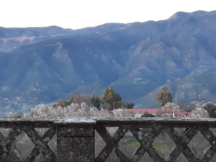 Pellegrinaggio-Algeria-1-1