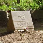 General News 21/05/1996  –  21/05/2016 image 3