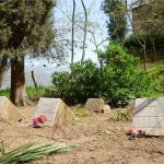 General News 21/05/1996  –  21/05/2016 image 9