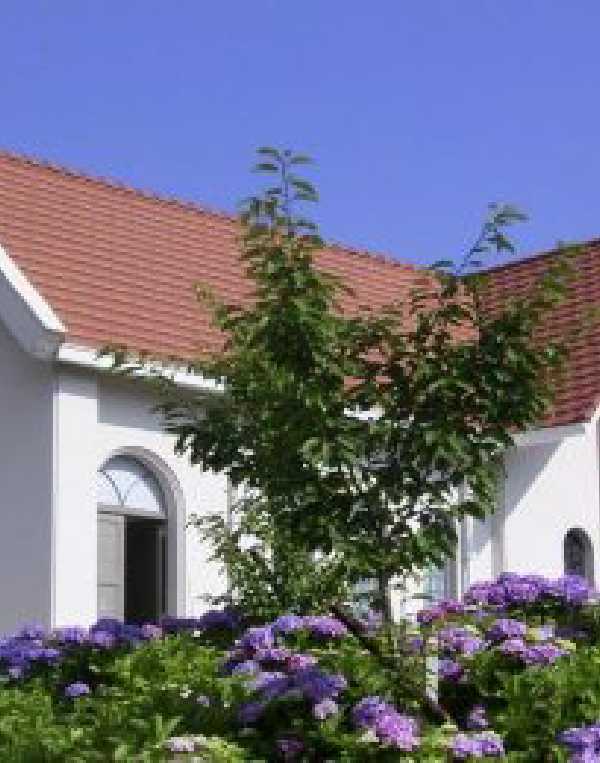 Order of Cistercians of the Strict Observance