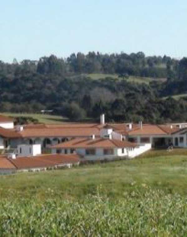 Order of Cistercians of the Strict Observance