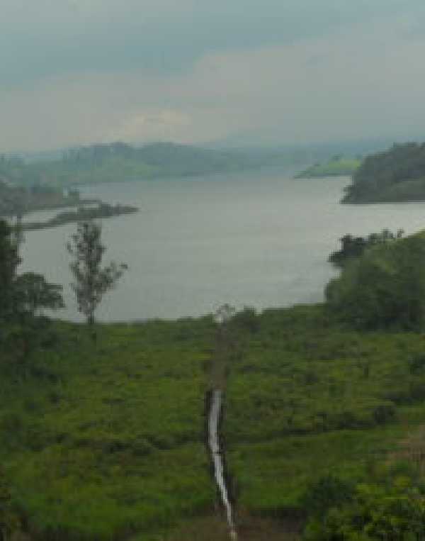 Order of Cistercians of the Strict Observance