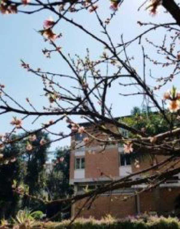 Order of Cistercians of the Strict Observance