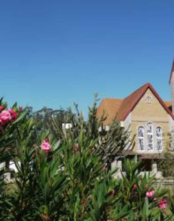 Order of Cistercians of the Strict Observance