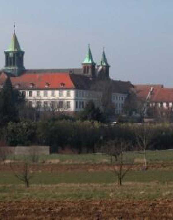 Order of Cistercians of the Strict Observance