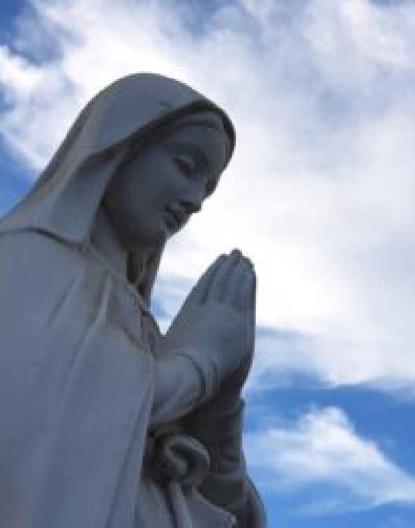 Order of Cistercians of the Strict Observance