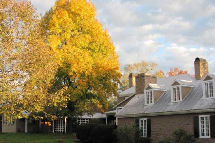 Order of Cistercians of the Strict Observance