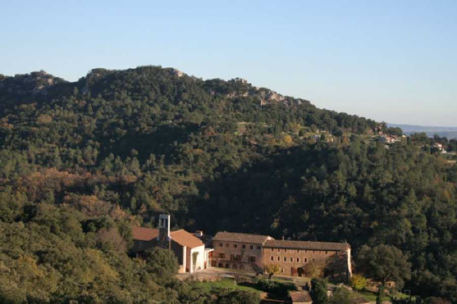 Order of Cistercians of the Strict Observance