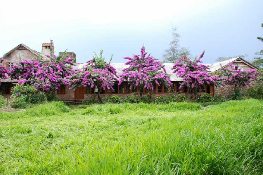 Order of Cistercians of the Strict Observance