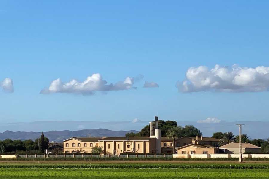 Order of Cistercians of the Strict Observance