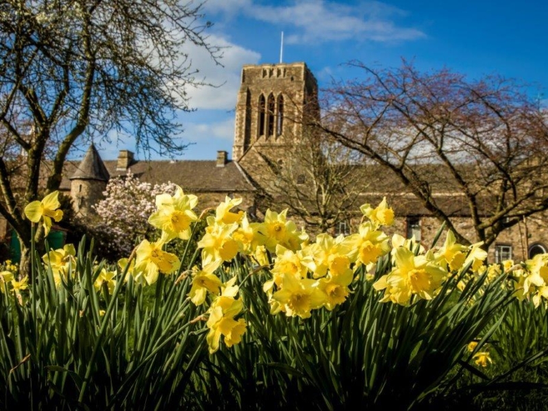 Mount Saint Bernard0