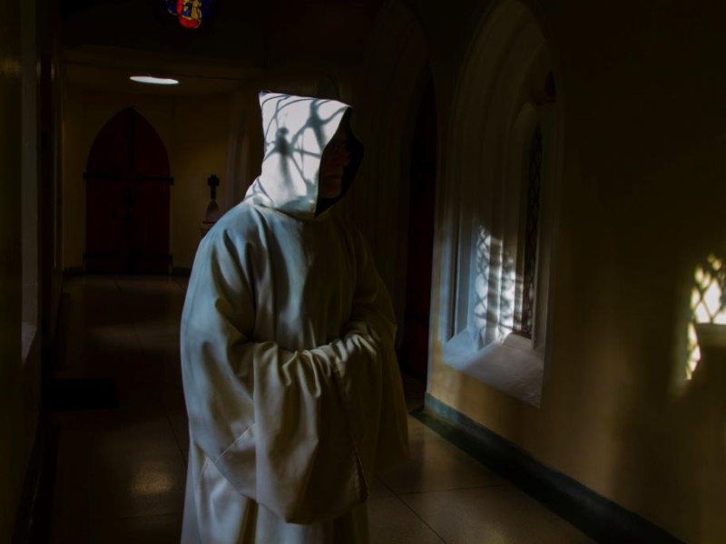 Mount Saint Bernard7