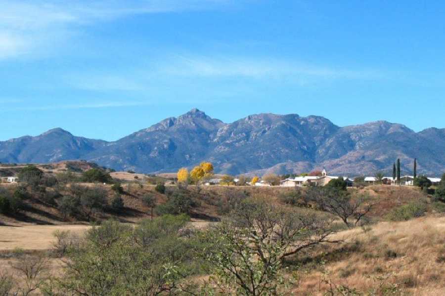 Order of Cistercians of the Strict Observance