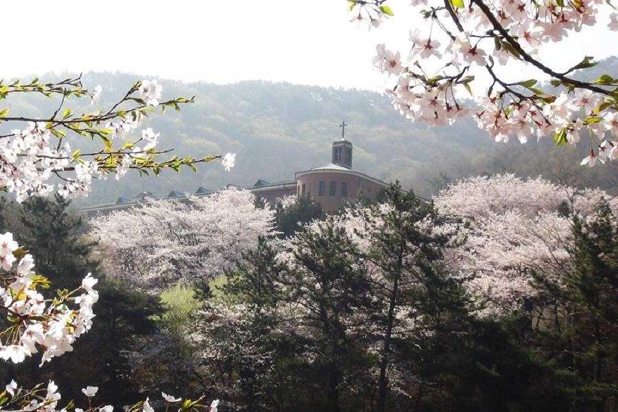 Order of Cistercians of the Strict Observance