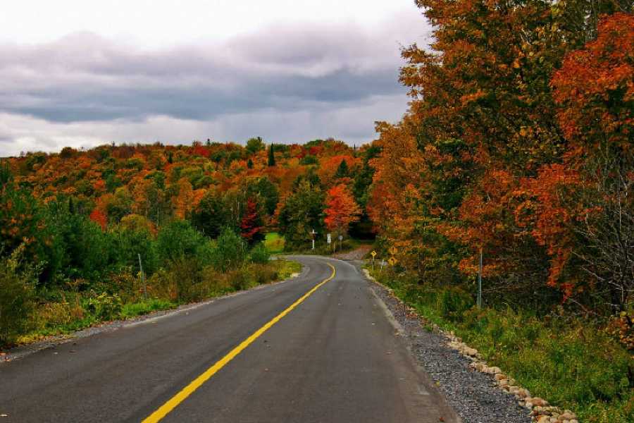 Order of Cistercians of the Strict Observance