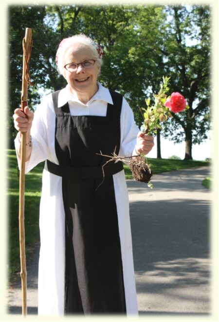 Necrology Mississippi image 1