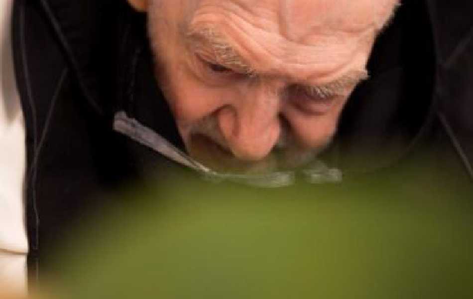 Order of Cistercians of the Strict Observance