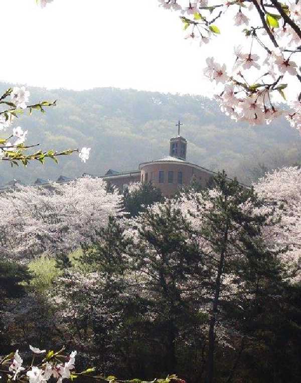 Order of Cistercians of the Strict Observance